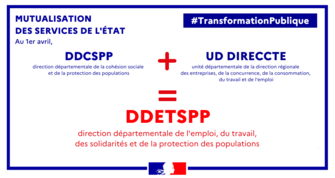 Direction Départementale de l'Emploi, du Travail, des Solidarités et de la Protection des Populations  (DDETSPP)